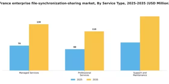 France Enterprise File Synchronization Sharing Market Segment Image 3