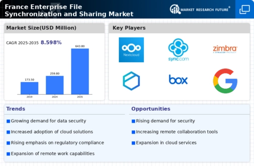 France Enterprise File Synchronization Sharing Market Infographic
