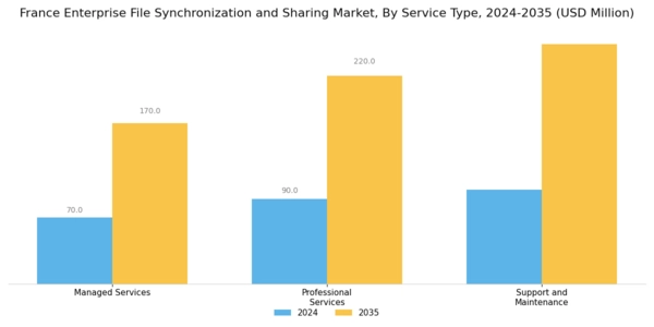 France Enterprise File Synchronization Sharing Market Segment Image 3