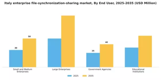 Italy Enterprise File Synchronization Sharing Market Segment Image 2