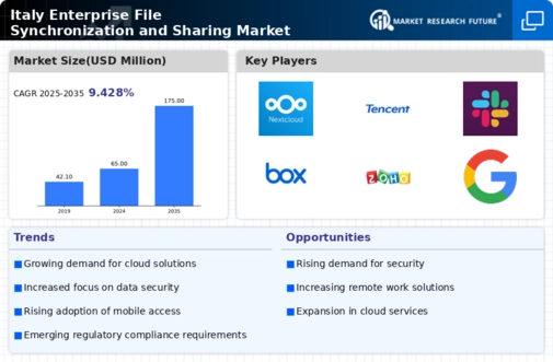 Italy Enterprise File Synchronization Sharing Market Infographic