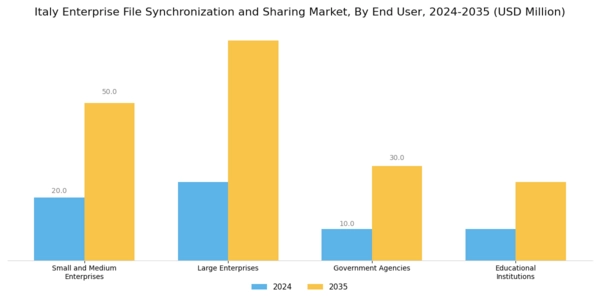 Italy Enterprise File Synchronization Sharing Market Segment Image 2