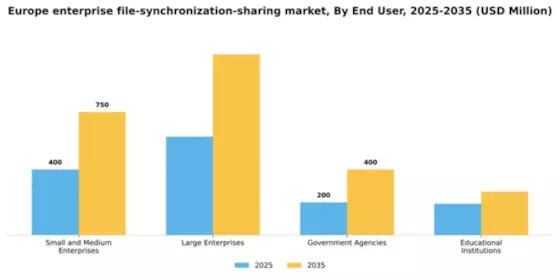 Europe Enterprise File Synchronization Sharing Market Segment Image 2