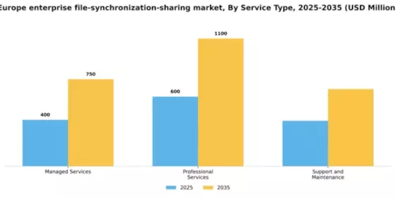 Europe Enterprise File Synchronization Sharing Market Segment Image 3