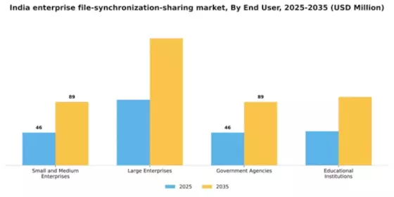 India Enterprise File Synchronization Sharing Market Segment Image 2