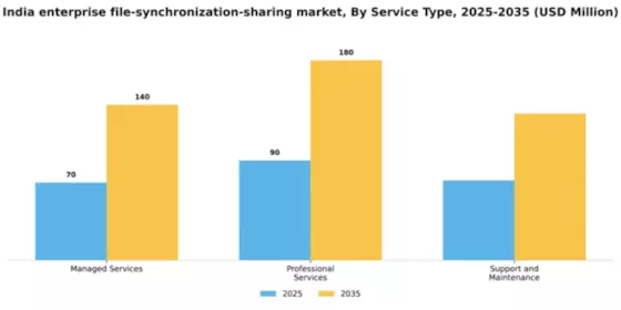 India Enterprise File Synchronization Sharing Market Segment Image 3