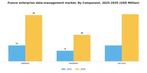 France Enterprise Data Management Market Segment Image 0