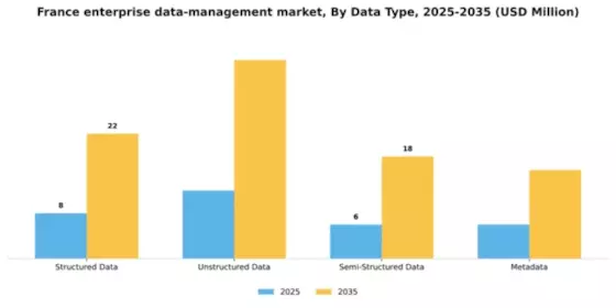 France Enterprise Data Management Market Segment Image 1