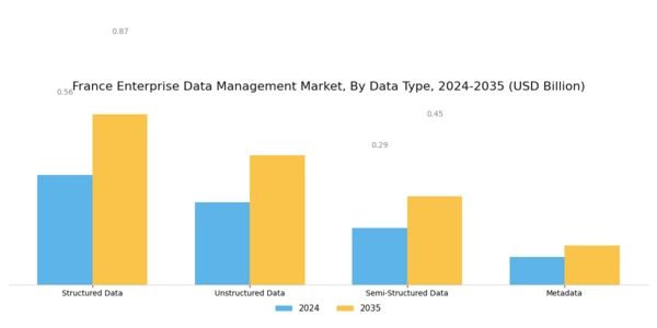 France Enterprise Data Management Market Segment Image 0