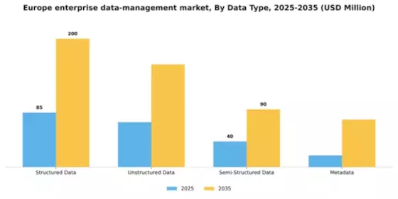 Europe Enterprise Data Management Market Segment Image 1