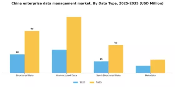 China Enterprise Data Management Market Segment Image 1