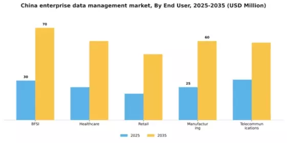 China Enterprise Data Management Market Segment Image 3