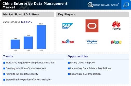 China Enterprise Data Management Market Infographic
