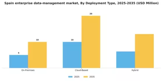 Spain Enterprise Data Management Market Segment Image 2