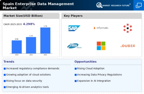 Spain Enterprise Data Management Market Infographic