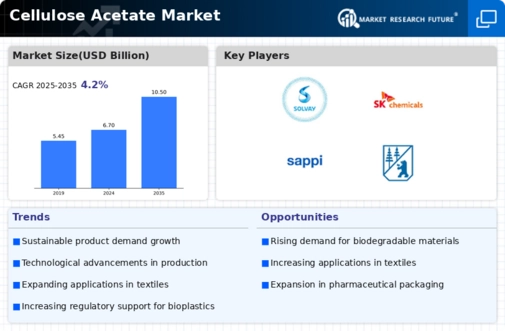 Cellulose Acetate Market Infographic