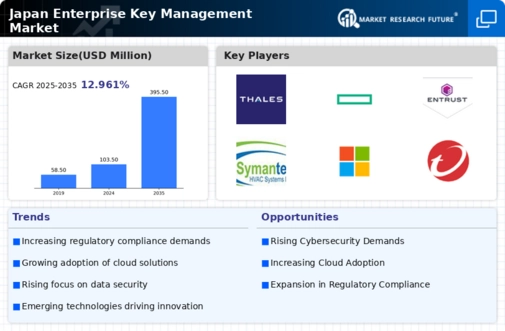 Japan Enterprise Key Management Market Infographic