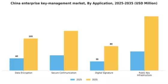 China Enterprise Key Management Market Segment Image 0