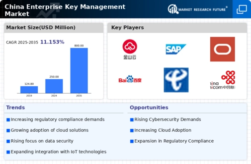 China Enterprise Key Management Market Infographic