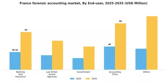 France Forensic Accounting Market Segment Image 1