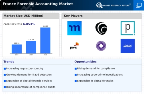 France Forensic Accounting Market Infographic