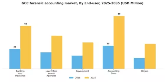 GCC Forensic Accounting Market Segment Image 1