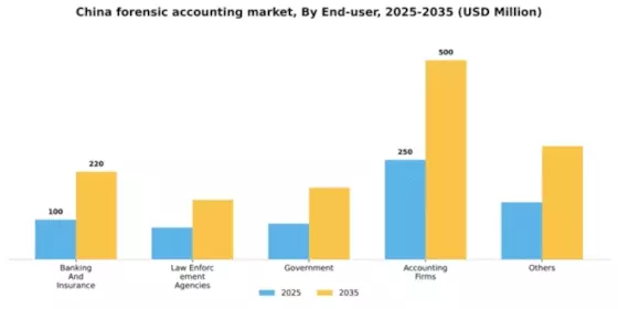 China Forensic Accounting Market Segment Image 1