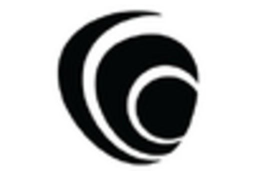 Spain Forensic Accounting Market key player