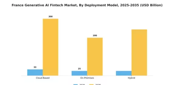 France Generative AI Fintech Market Segment Image 2