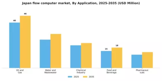 Japan Flow Computer Market Segment Image 0