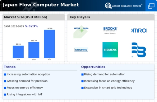 Japan Flow Computer Market Infographic