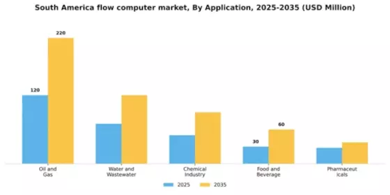South America Flow Computer Market Segment Image 0