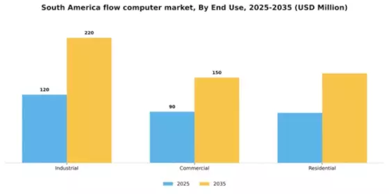 South America Flow Computer Market Segment Image 1