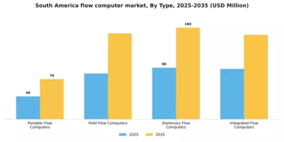 South America Flow Computer Market Segment Image 3