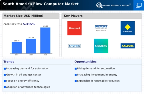 South America Flow Computer Market Infographic