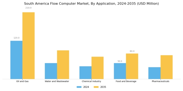 South America Flow Computer Market Segment Image 1