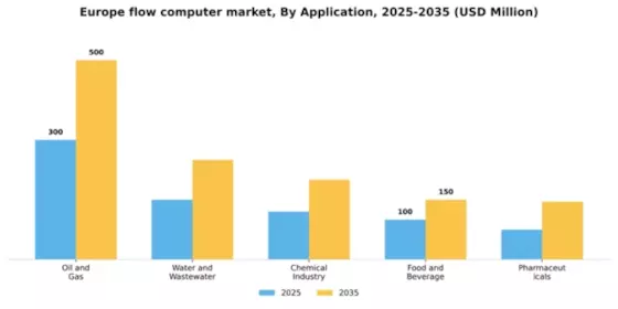 Europe Flow Computer Market Segment Image 0
