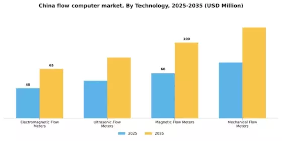 China Flow Computer Market Segment Image 2