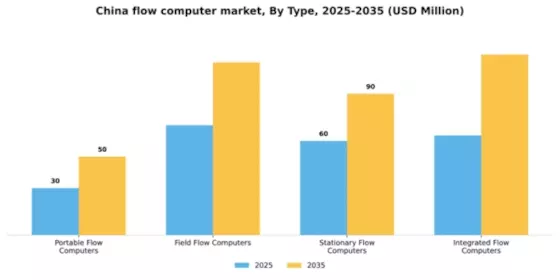China Flow Computer Market Segment Image 3
