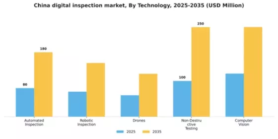 China Digital Inspection Market Segment Image 3