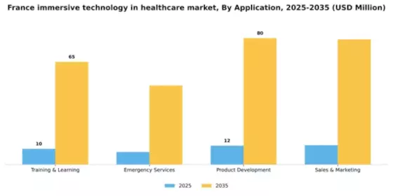 France Immersive Technology in Healthcare Market Segment Image 0