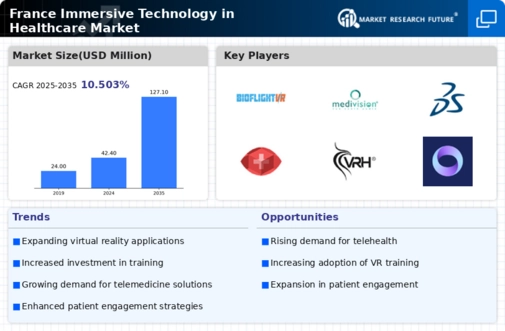 France Immersive Technology in Healthcare Market Infographic