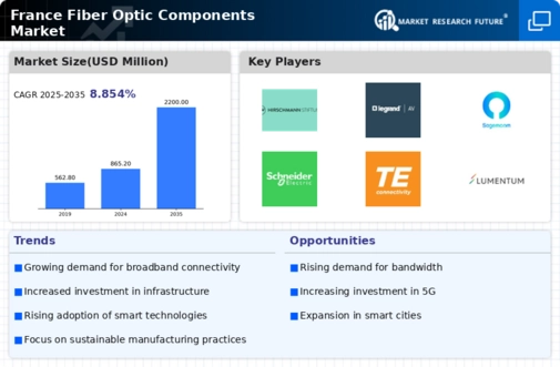 France Fiber Optic Components Market Infographic