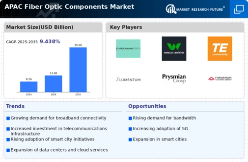 APAC Fiber Optic Components Market Infographic