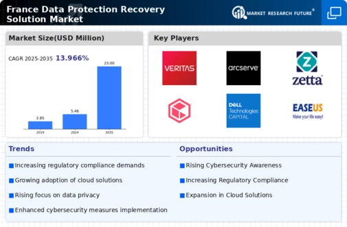 France Data Protection Recovery Solution Market Infographic