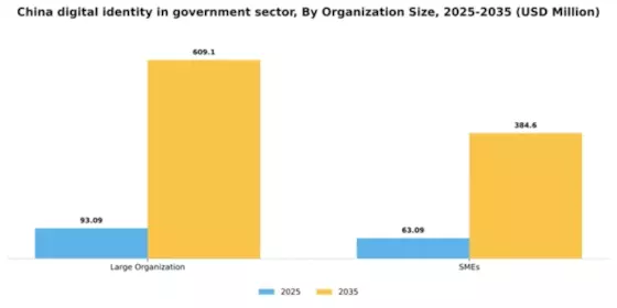 China Digital Identity In Government Sector Market Segment Image 2