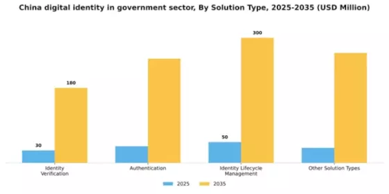 China Digital Identity In Government Sector Market Segment Image 3