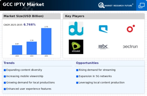 GCC Iptv Market Infographic