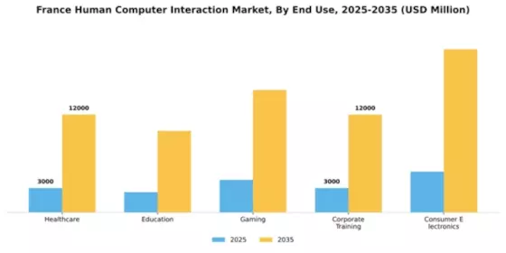 France Human Computer Interaction Market Segment Image 1