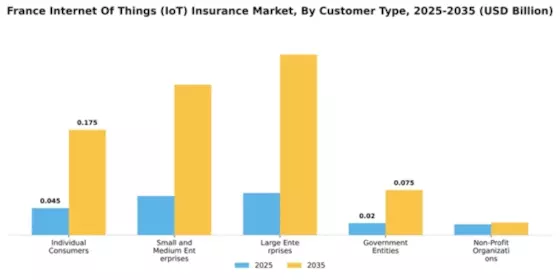 France Internet of Things Insurance Market Segment Image 1